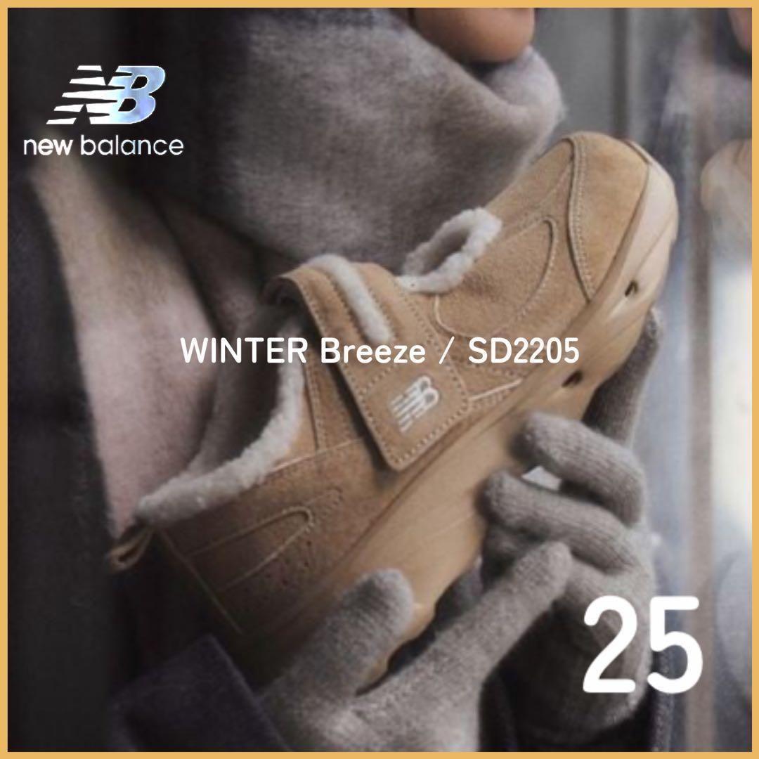 韓国限定 新品未使用 ニューバランス ウィンターブリーズ 25 正規品