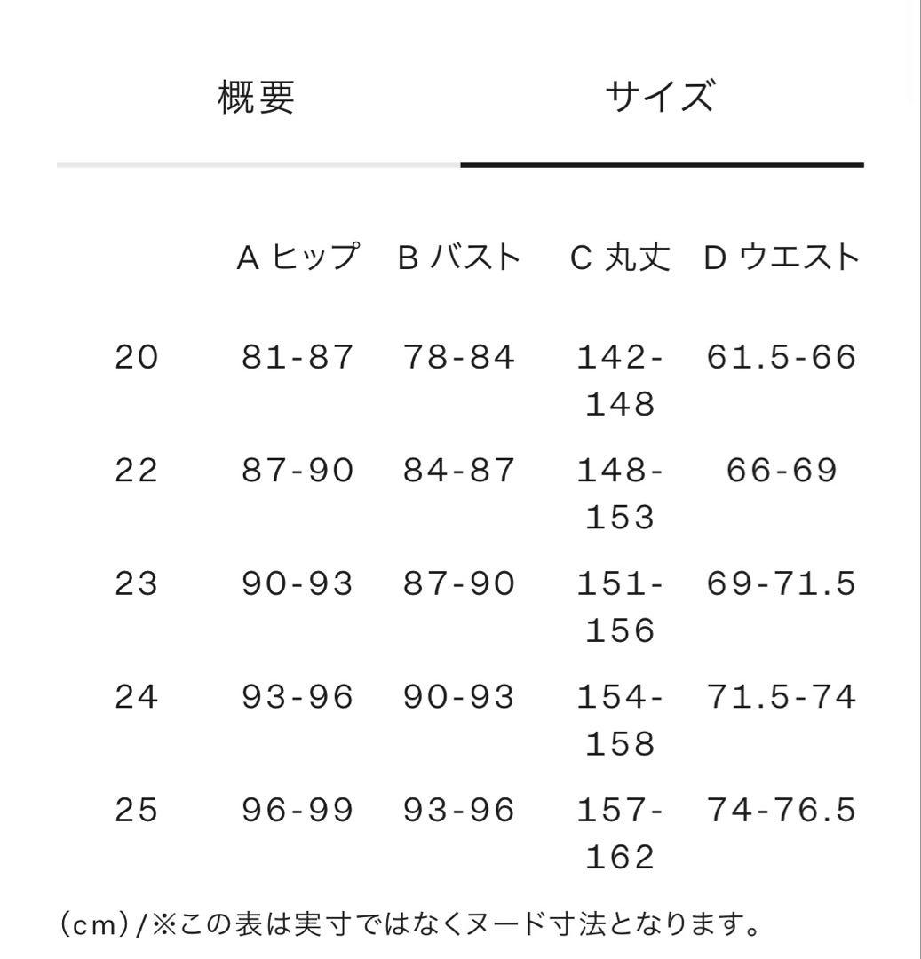 Speedo レース水着 サイズ22