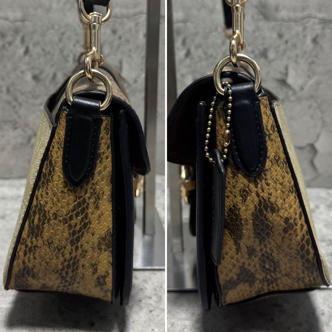 極美品✨️コーチ ワンショルダーバッグ ジョージ タビー PVC レザー 蛇柄 黒