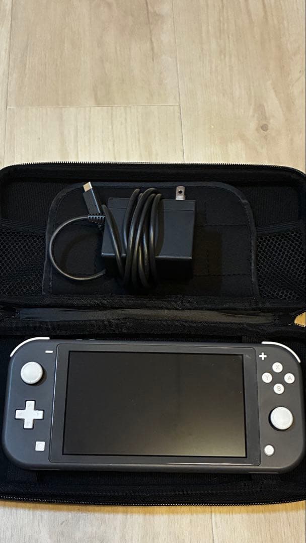 Nintendo Switch Lite グレー 充電器・ケース付