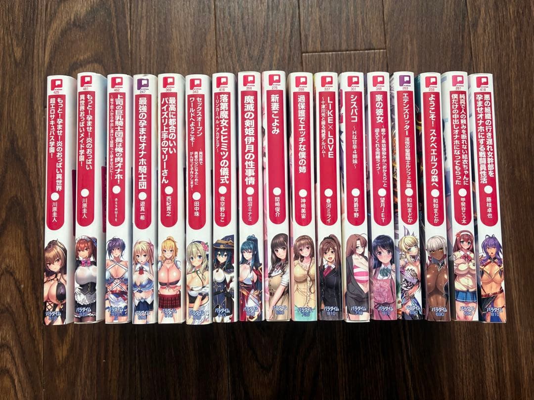 ぷちぱら文庫17冊セット　官能小説