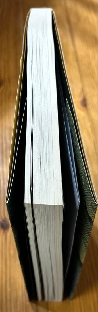 下池山古墳の研究 (奈良県立橿原考古学研究所研究成果 第9冊)