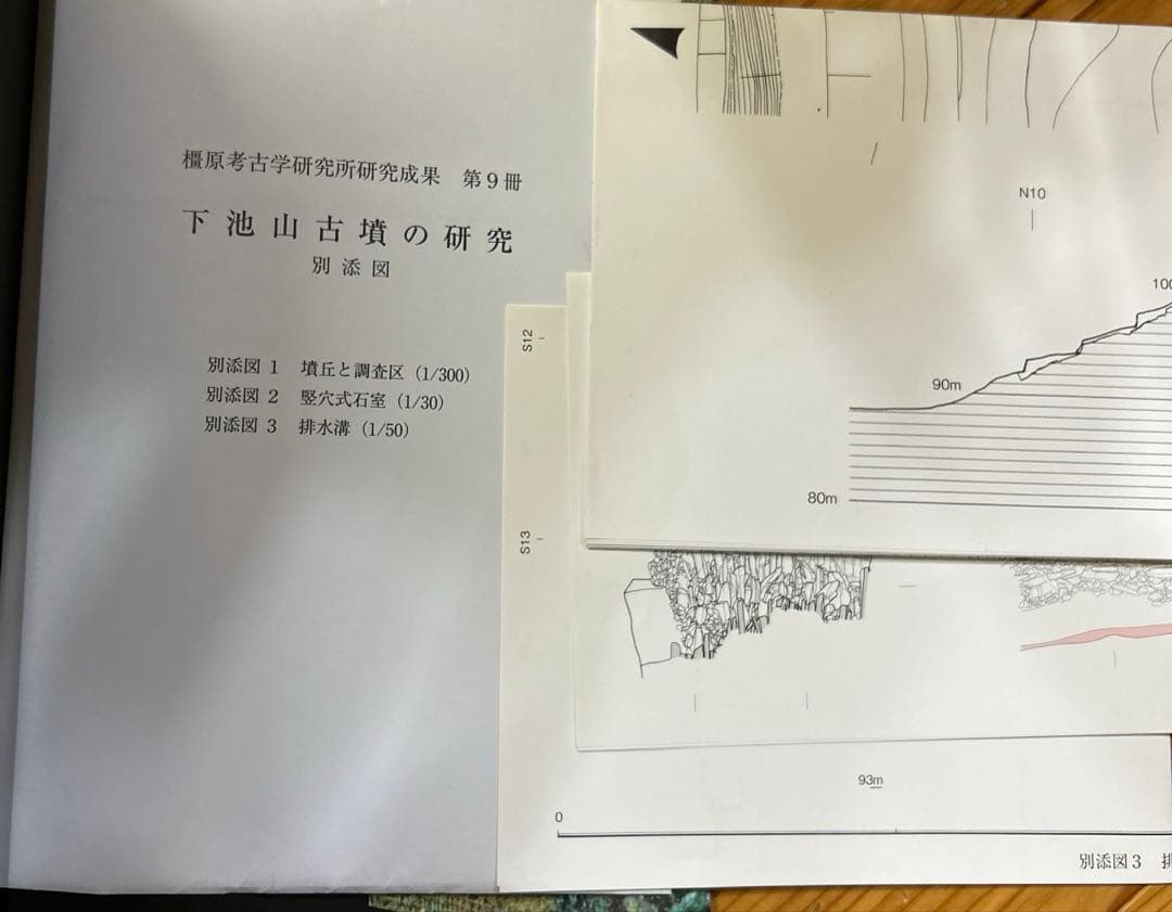 下池山古墳の研究 (奈良県立橿原考古学研究所研究成果 第9冊)