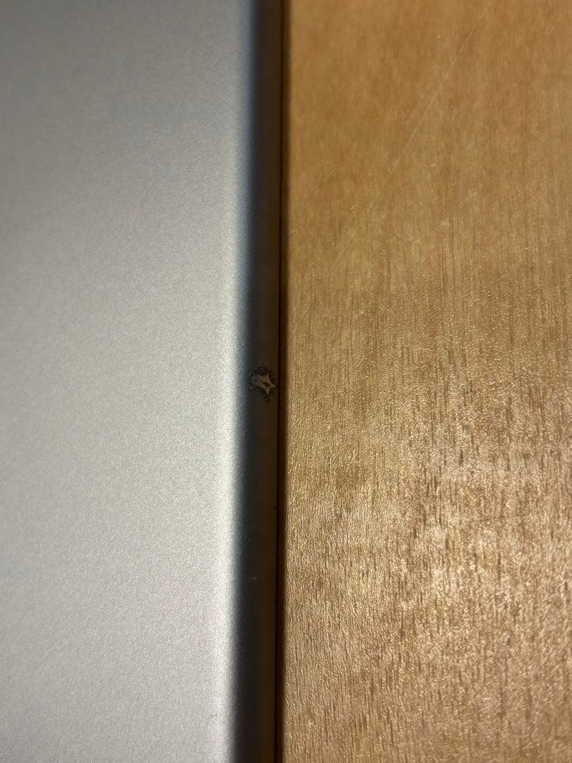 iPad Pro (10.5インチ) 256GB WiFi + セルラー