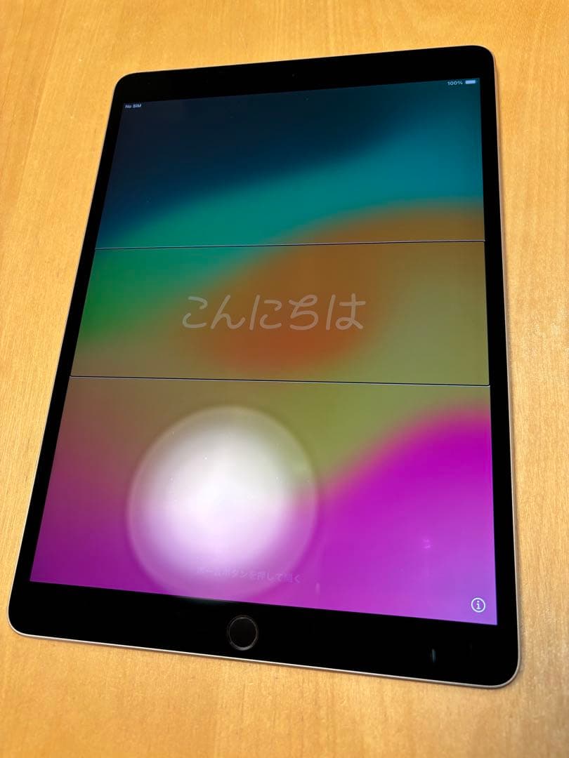 iPad Pro (10.5インチ) 256GB WiFi + セルラー