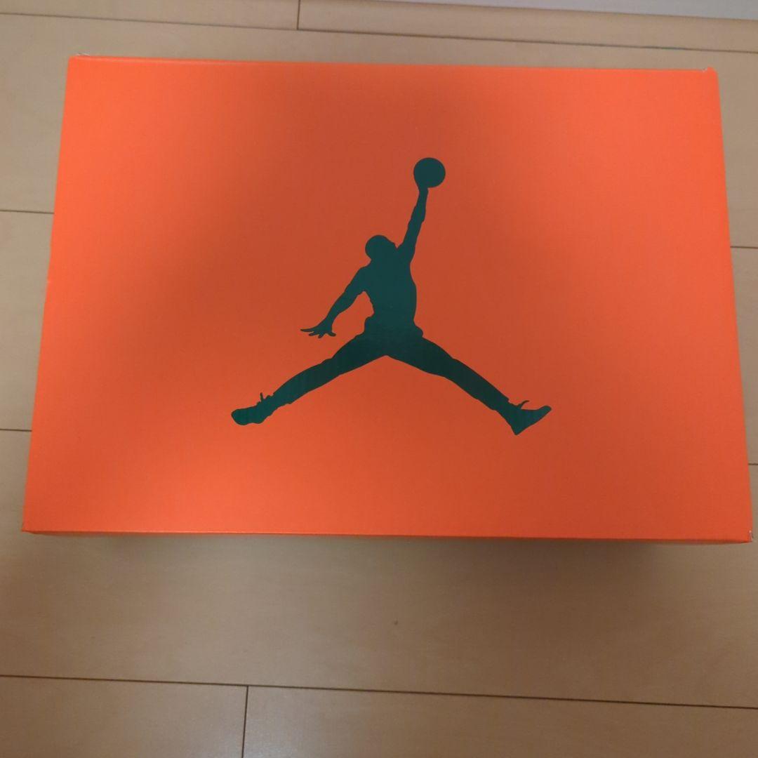 エアジョーダン6 ゲータレード