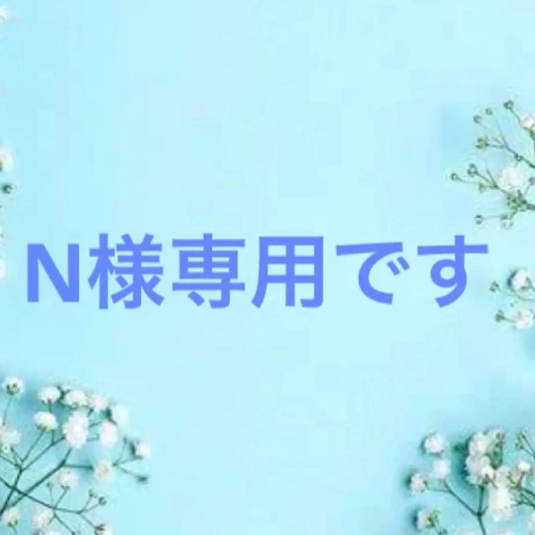 Nです　手提げカバン　シューズ袋巾着　給食用巾着　コップ袋ランチョンマット