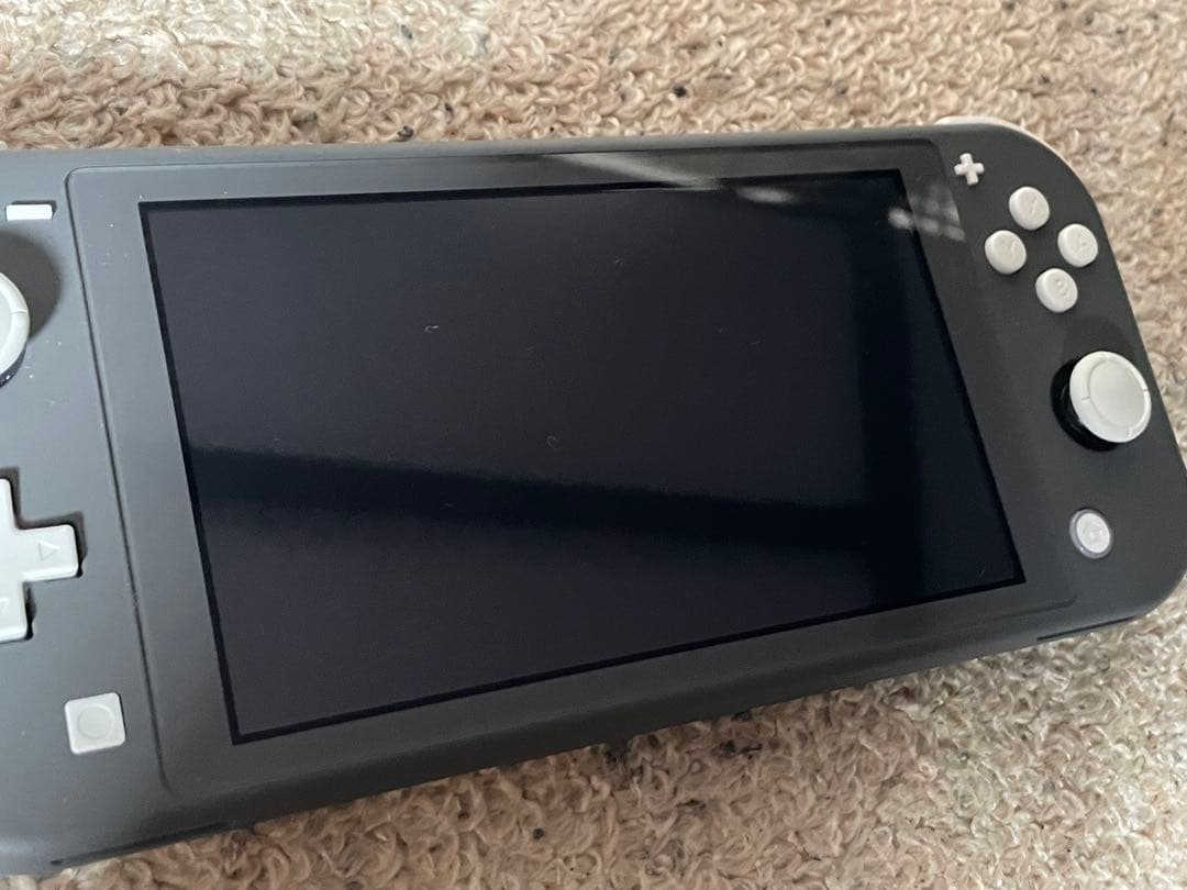 Nintendo Switch lite 美品 【付属充電器欠品】