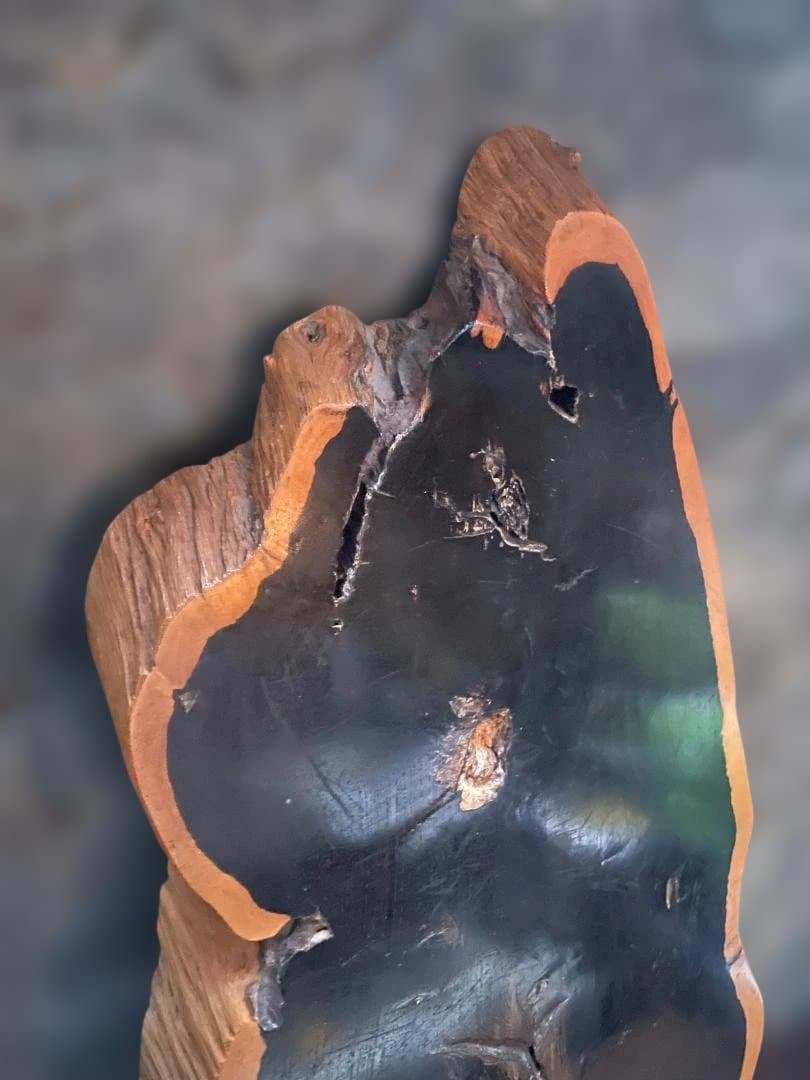 希少 大型 本黒檀 花瓶台 盆栽 花台 飾り台 一枚板 切り株 輪切 華道