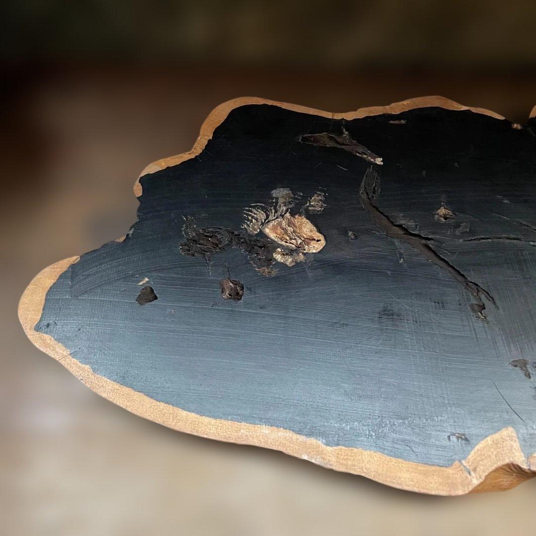 希少 大型 本黒檀 花瓶台 盆栽 花台 飾り台 一枚板 切り株 輪切 華道