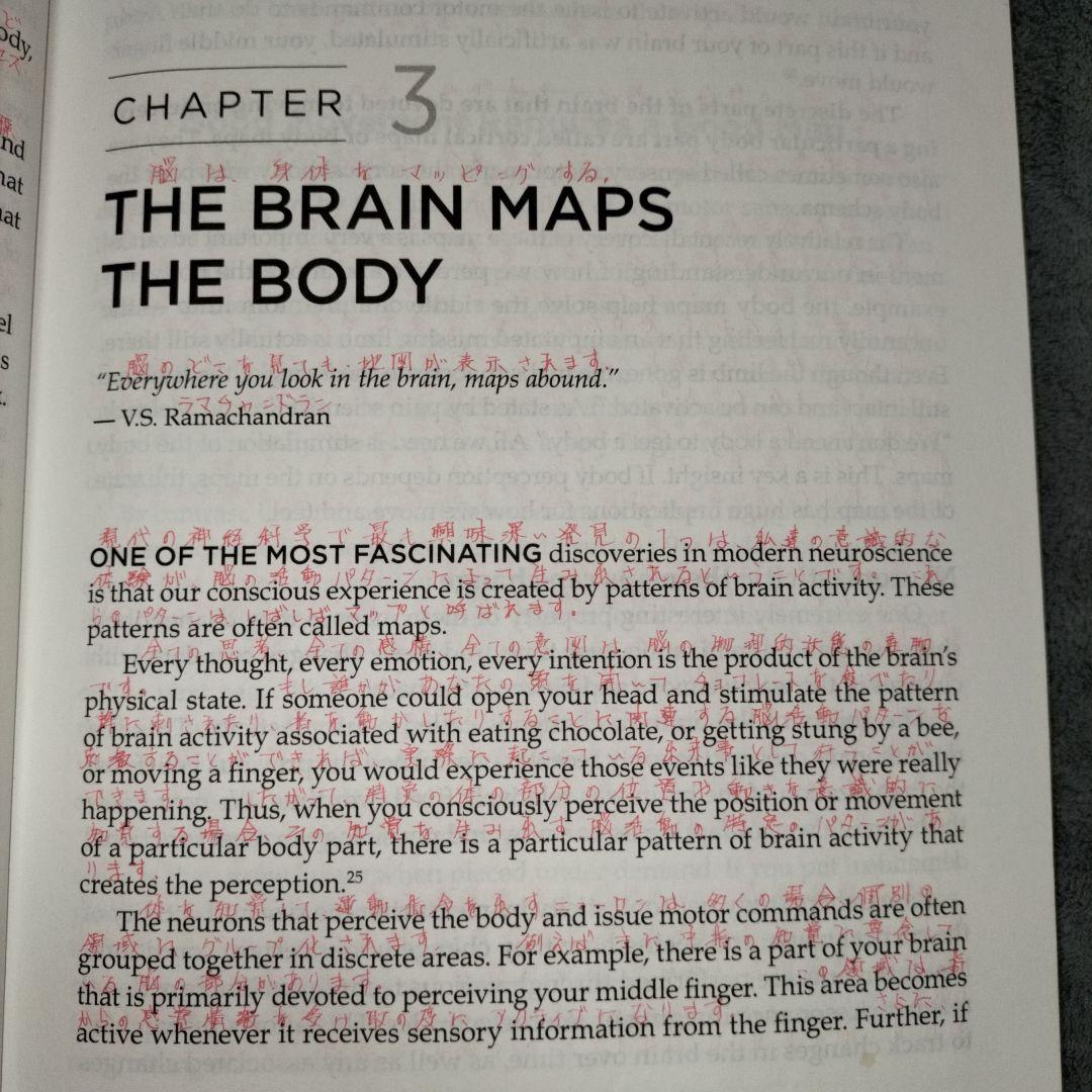 トリガーポイント　痛みからの脱却へのガイド　翻訳書込み洋書