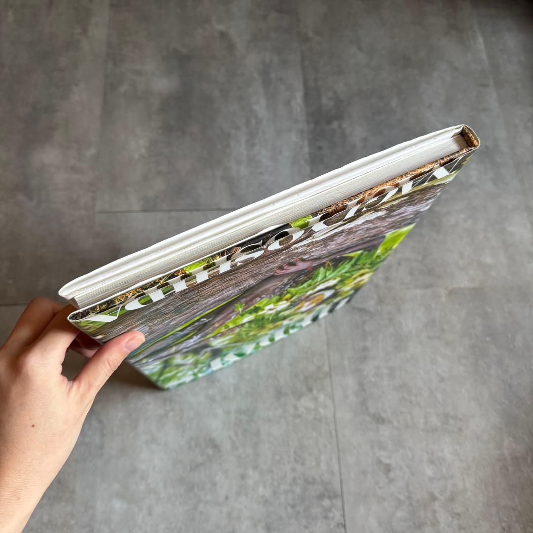 HEROES ヨシダナギ　写真集