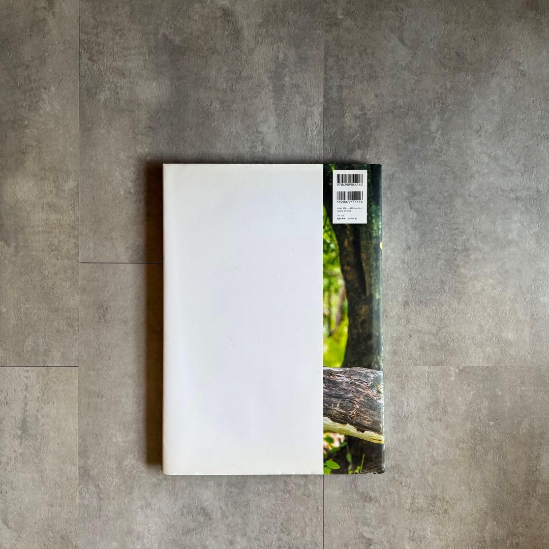 HEROES ヨシダナギ　写真集