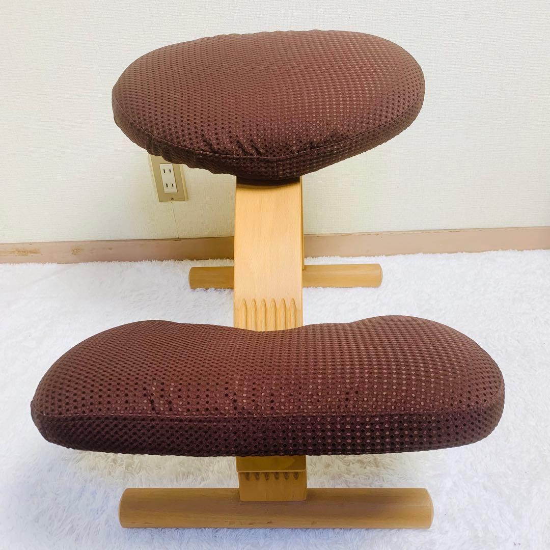 バランスチェア イージー バランスラボ(旧サカモトハウス) はっ水カバー付き