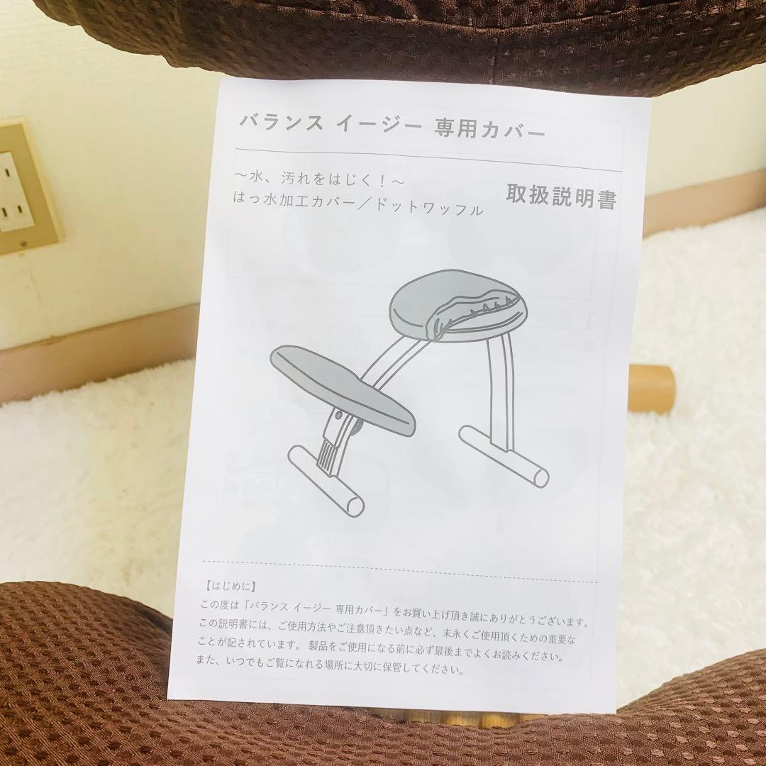 バランスチェア イージー バランスラボ(旧サカモトハウス) はっ水カバー付き