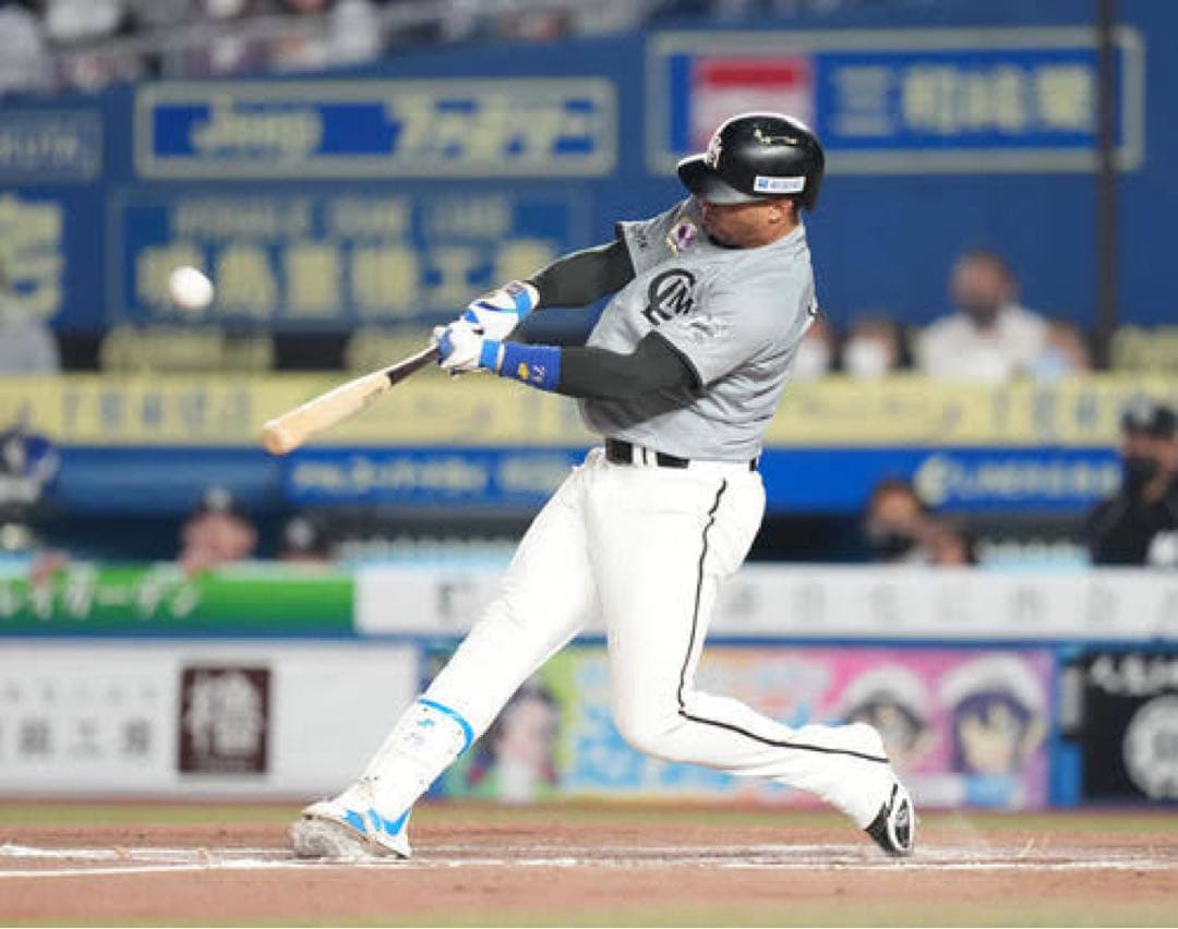 千葉ロッテマリーンズ　マーティン #79　バット NPBマーク 支給品　実使用