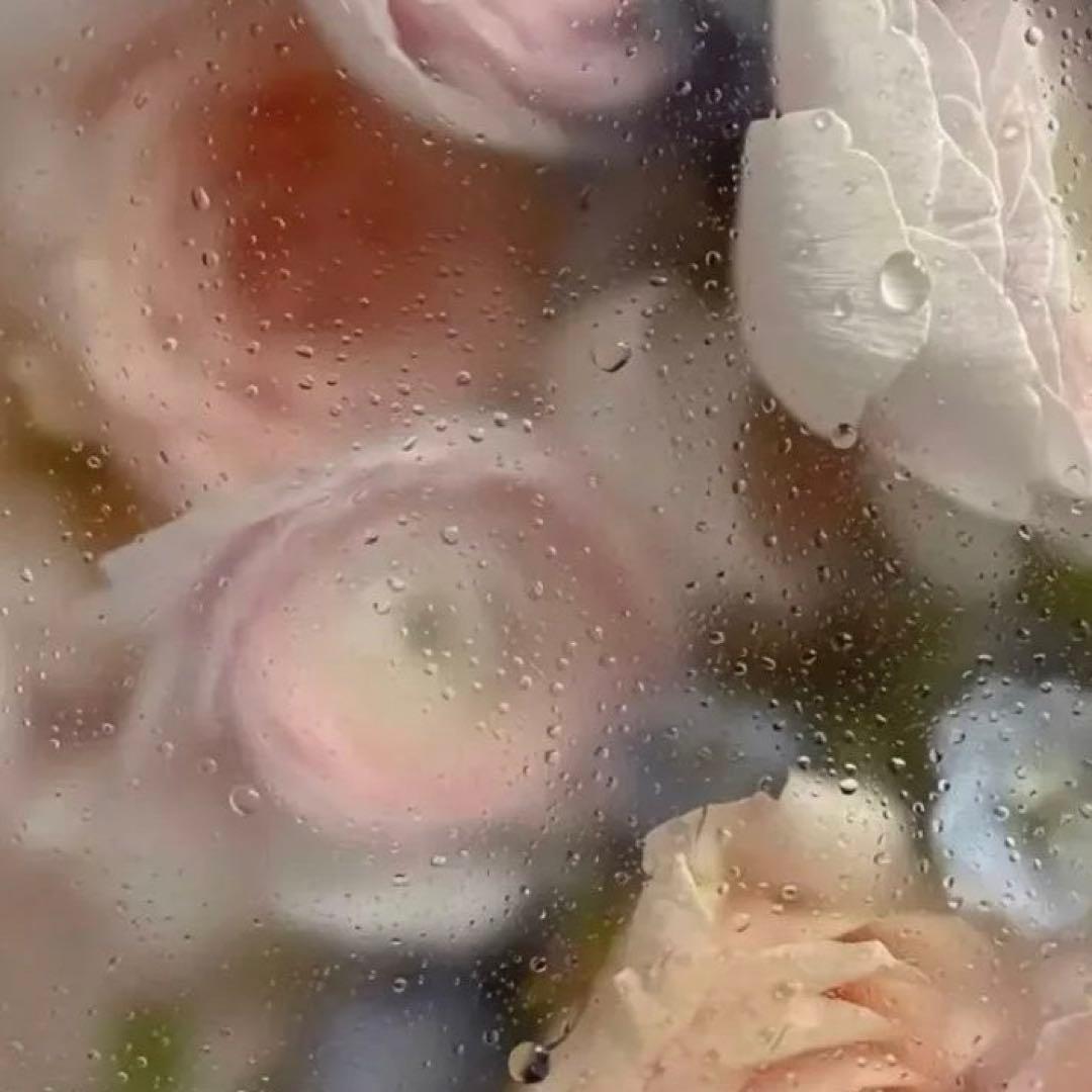 レフア プロフも一読下さい☆彡