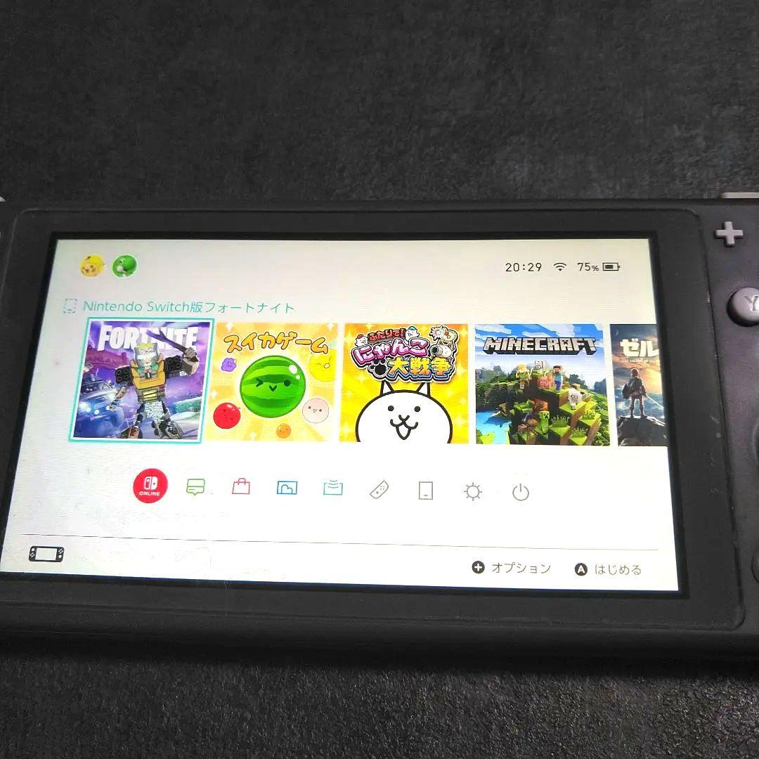 Nintendo Switch Lite グレー 本体　ジャンク品