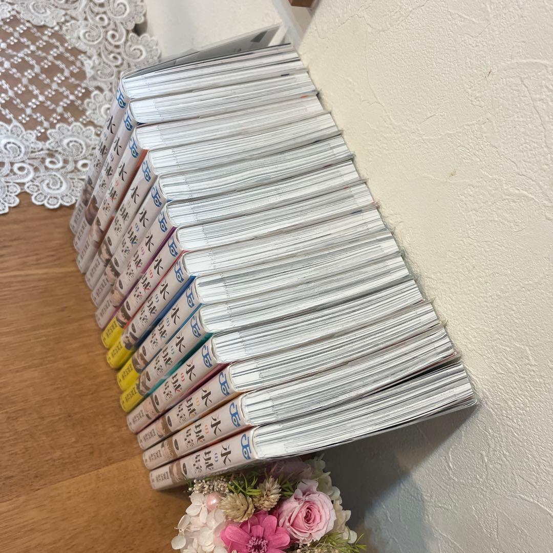 『壱』氷の城壁（1〜14巻）　阿賀沢紅茶