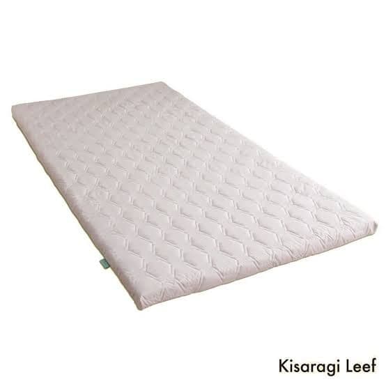 きさらぎリーフ スマートパッドタイプ