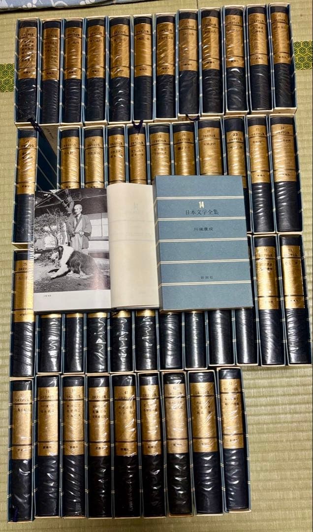 希少！ 日本文学全集 45巻