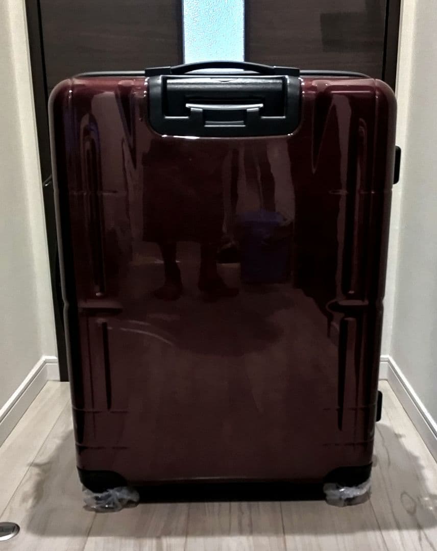 ACE　ProtecA　スタリアＶ　キャリーケース　ワインレッド　76L