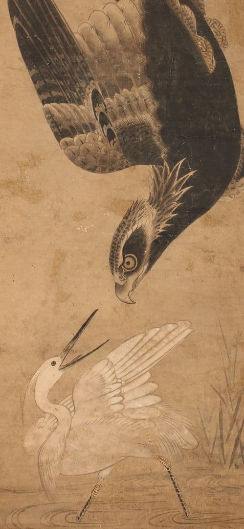 伝：曽我二直庵［鷹襲鷺図］無落款 曽我直庵の子 江戸時代前期 水墨画