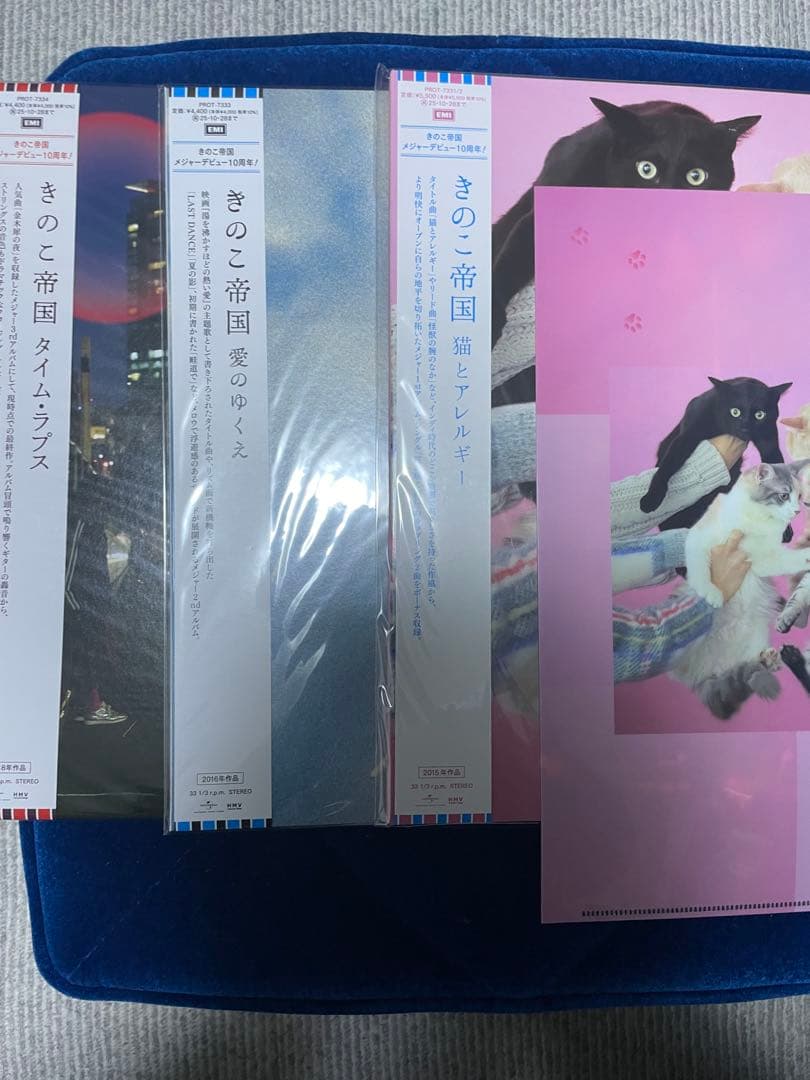 きのこ帝国　LPレコード