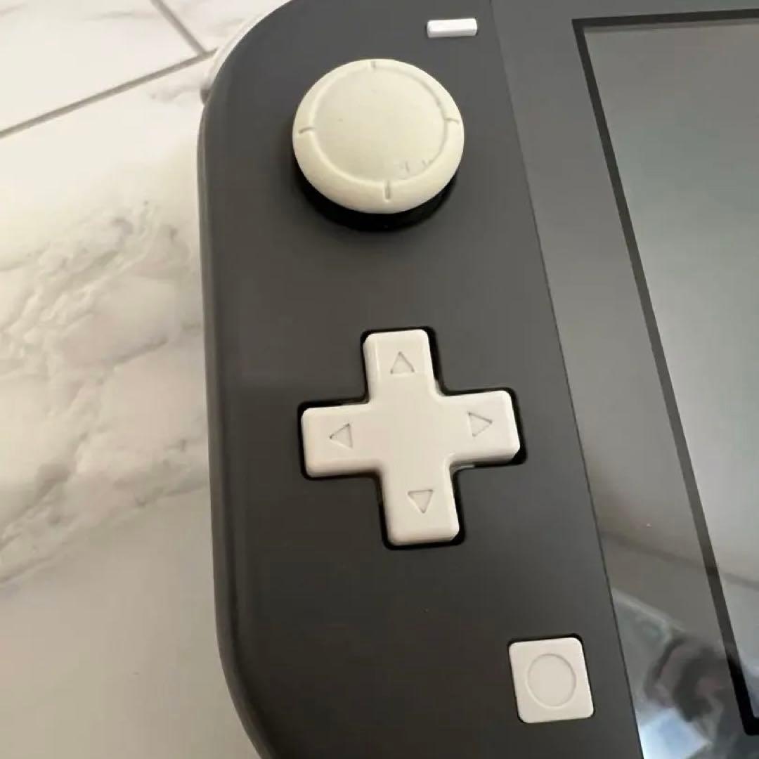 【ジャンク美品】Nintendo Switch Lite グレー ケースつき