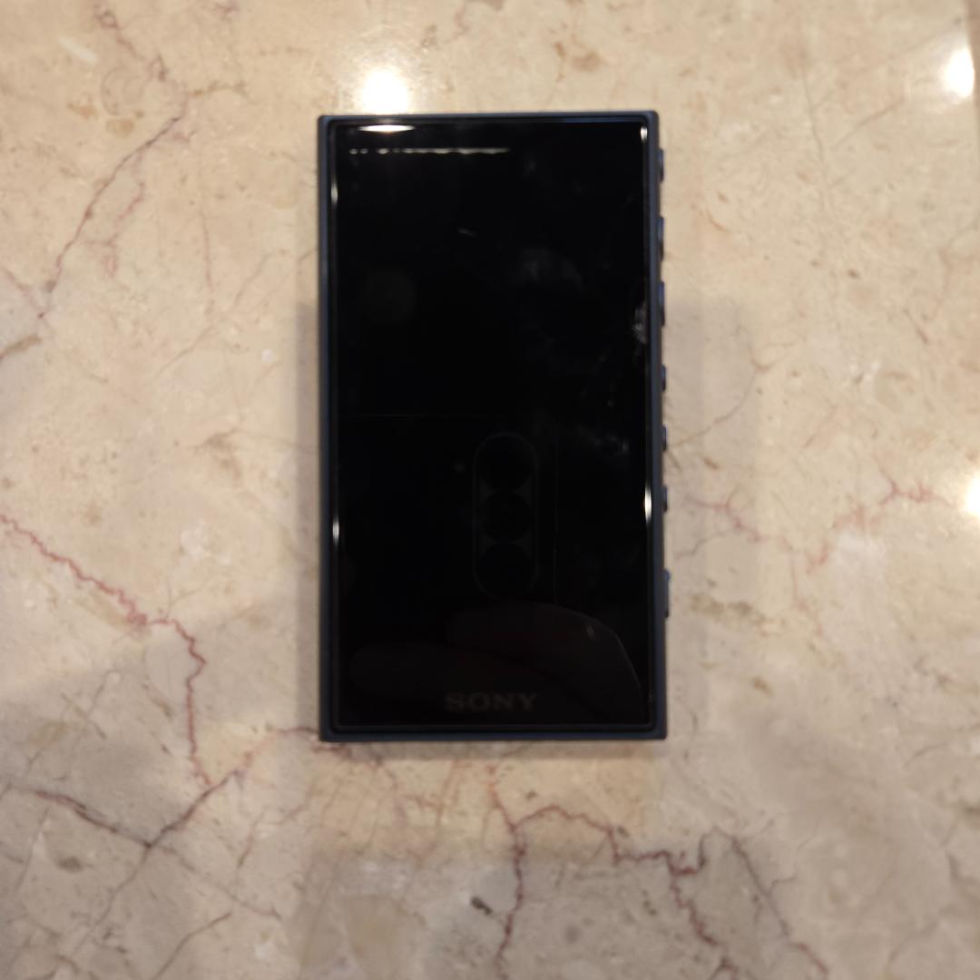 SONY ウォークマン NW-A105 ジャンク