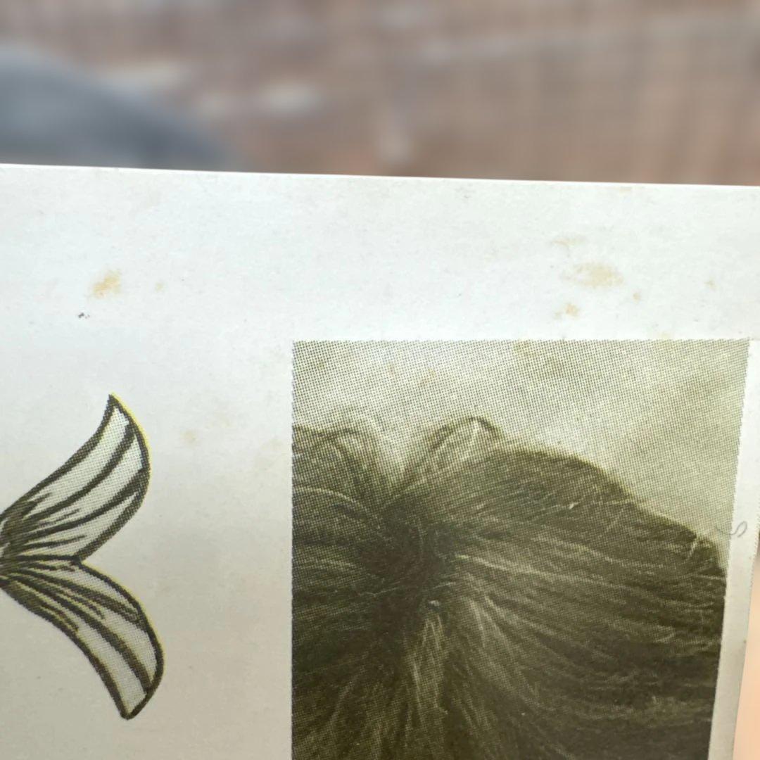 ヒバリのこころ スピッツ CD（インディーズ版）