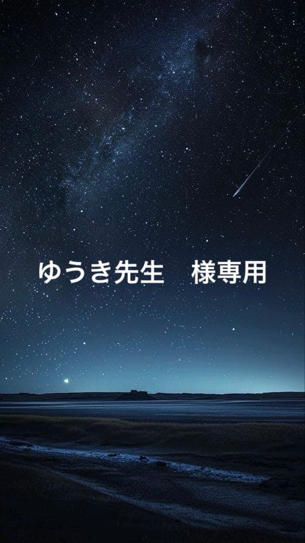 DAYTONA バッテリー充電器