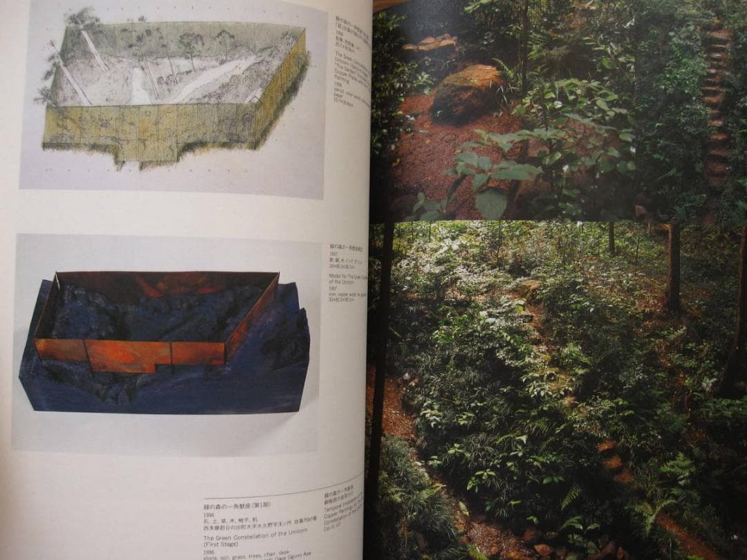 図録　WAKABAYASHI Isamu　若林奮　緑の森の一角獣座