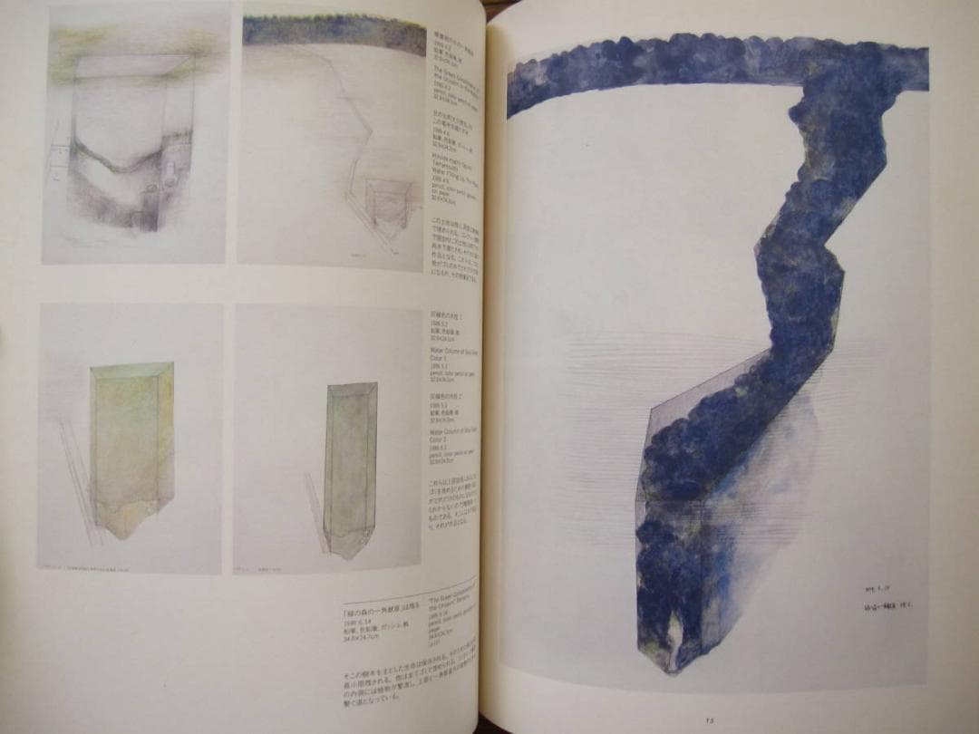 図録　WAKABAYASHI Isamu　若林奮　緑の森の一角獣座