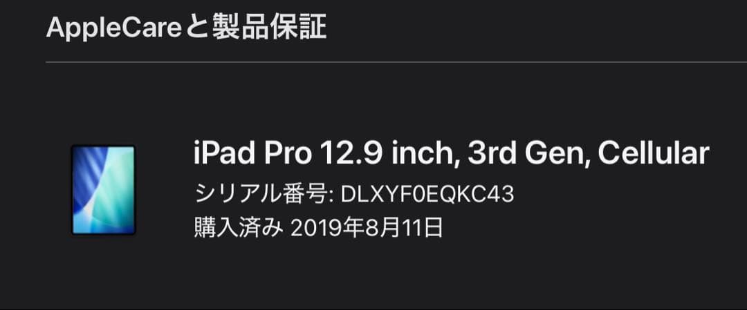 Apple iPad pro 3世代 A1895 ジャンク品