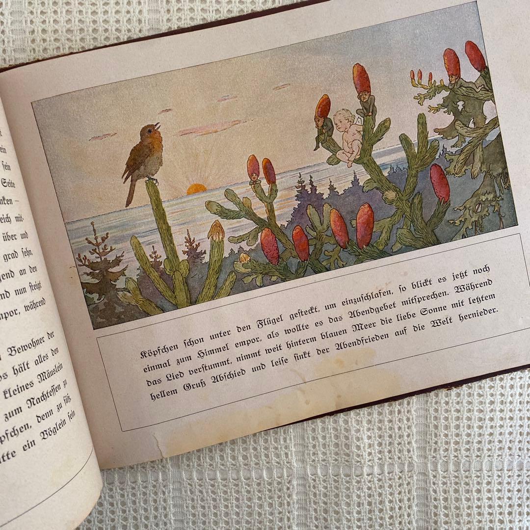 超希少 初版　ドイツの古い絵本　妖精　古書 アンティーク 洋書