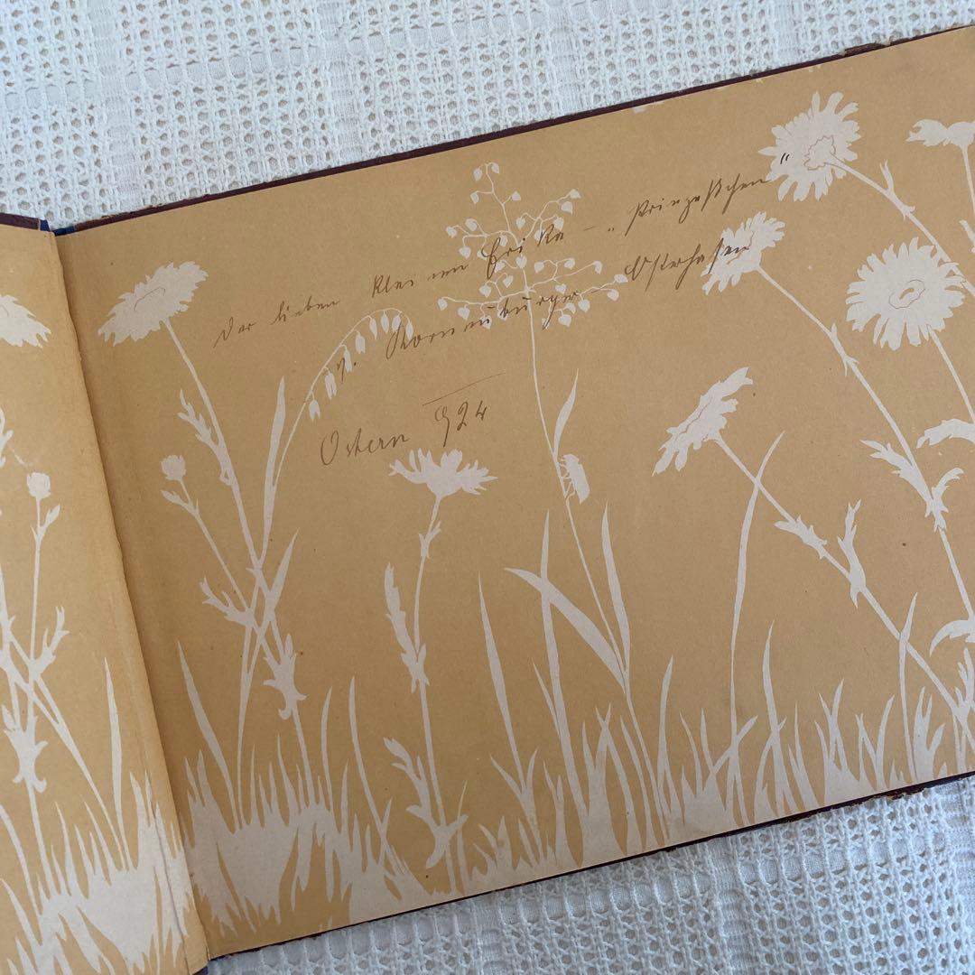 超希少 初版　ドイツの古い絵本　妖精　古書 アンティーク 洋書