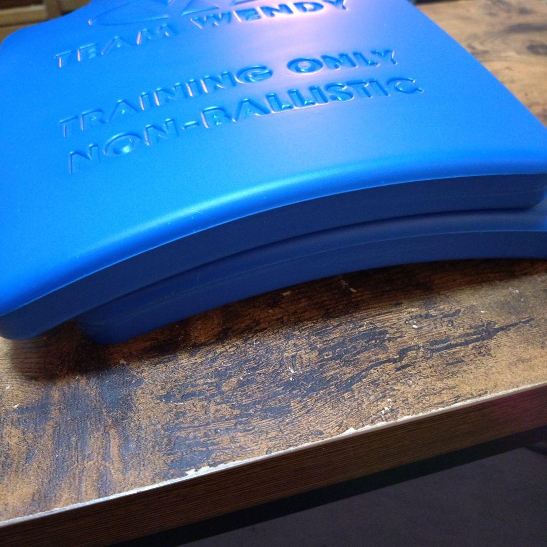 【最終値下げ】チームウェンディ　トレーニングプレート（2枚セット）