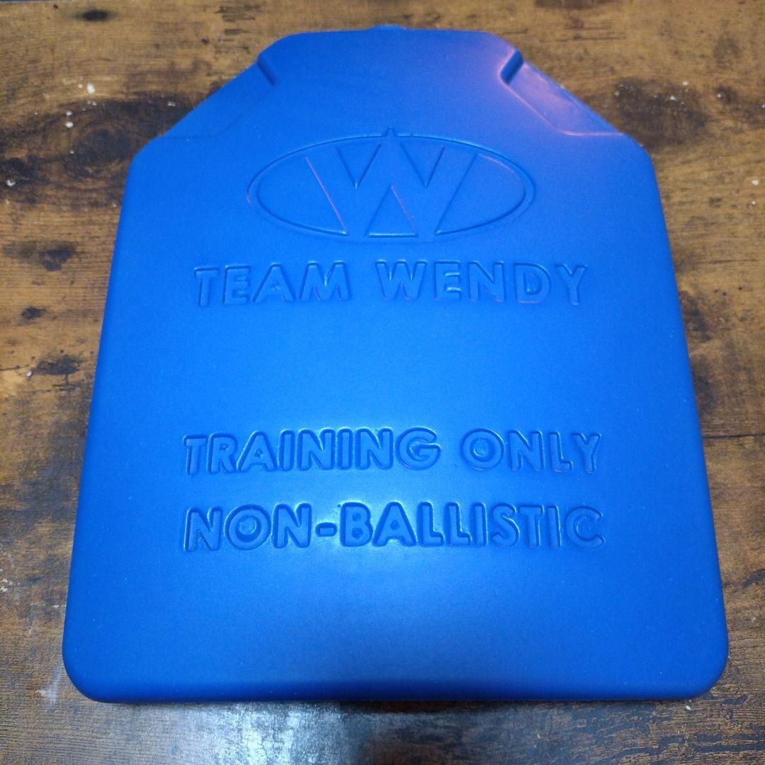 【最終値下げ】チームウェンディ　トレーニングプレート（2枚セット）