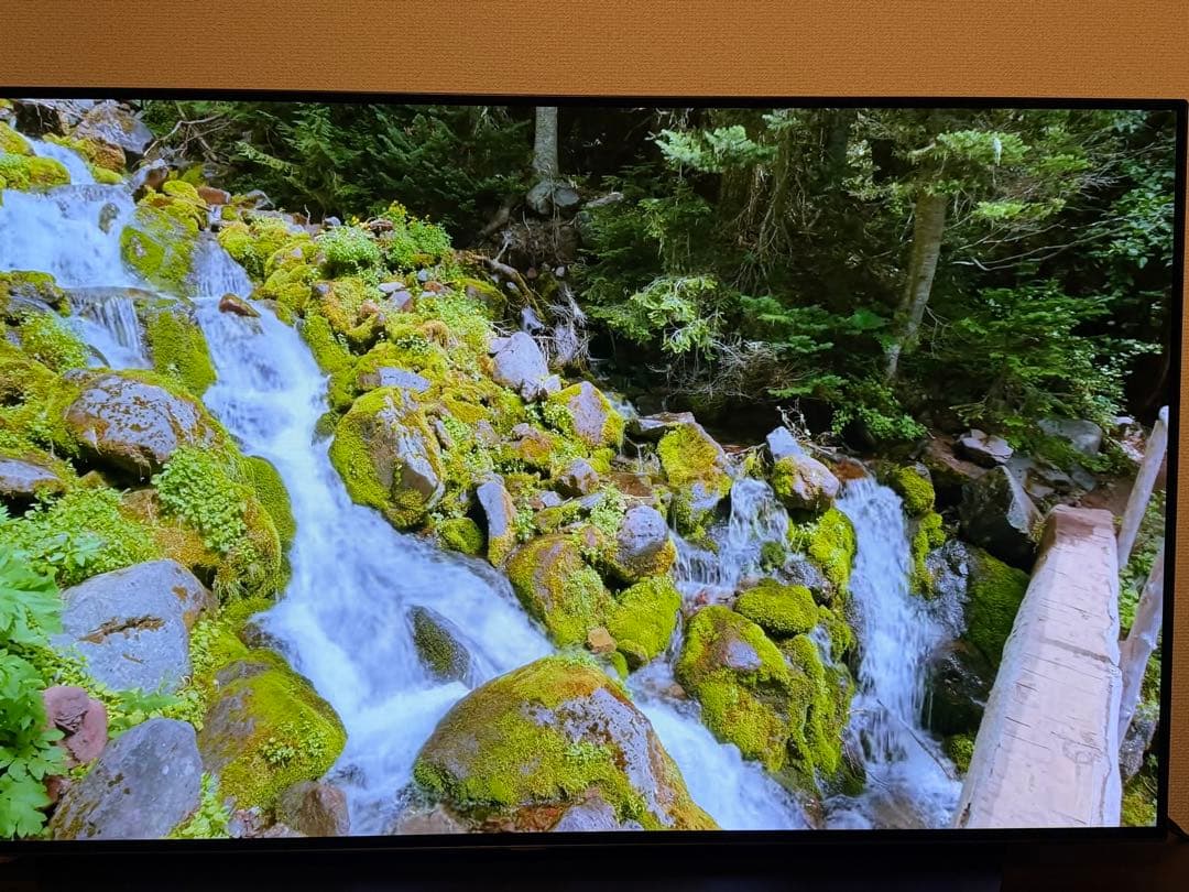 LG OLED 48インチ テレビ OLED48C1PJB