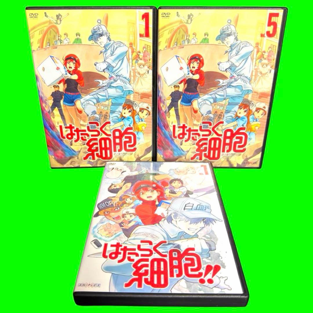 ケース付 はたらく細胞　DVD 1期+2期＋特別編　全12巻セット