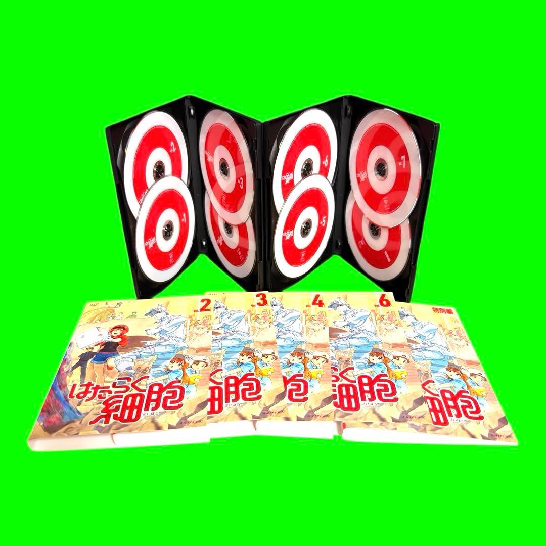 ケース付 はたらく細胞　DVD 1期+2期＋特別編　全12巻セット