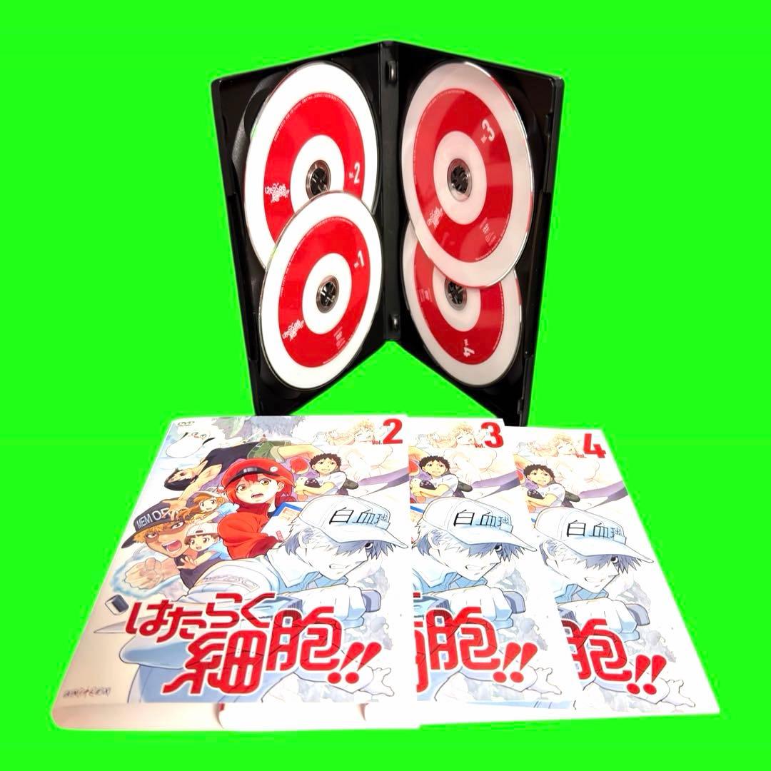 ケース付 はたらく細胞　DVD 1期+2期＋特別編　全12巻セット