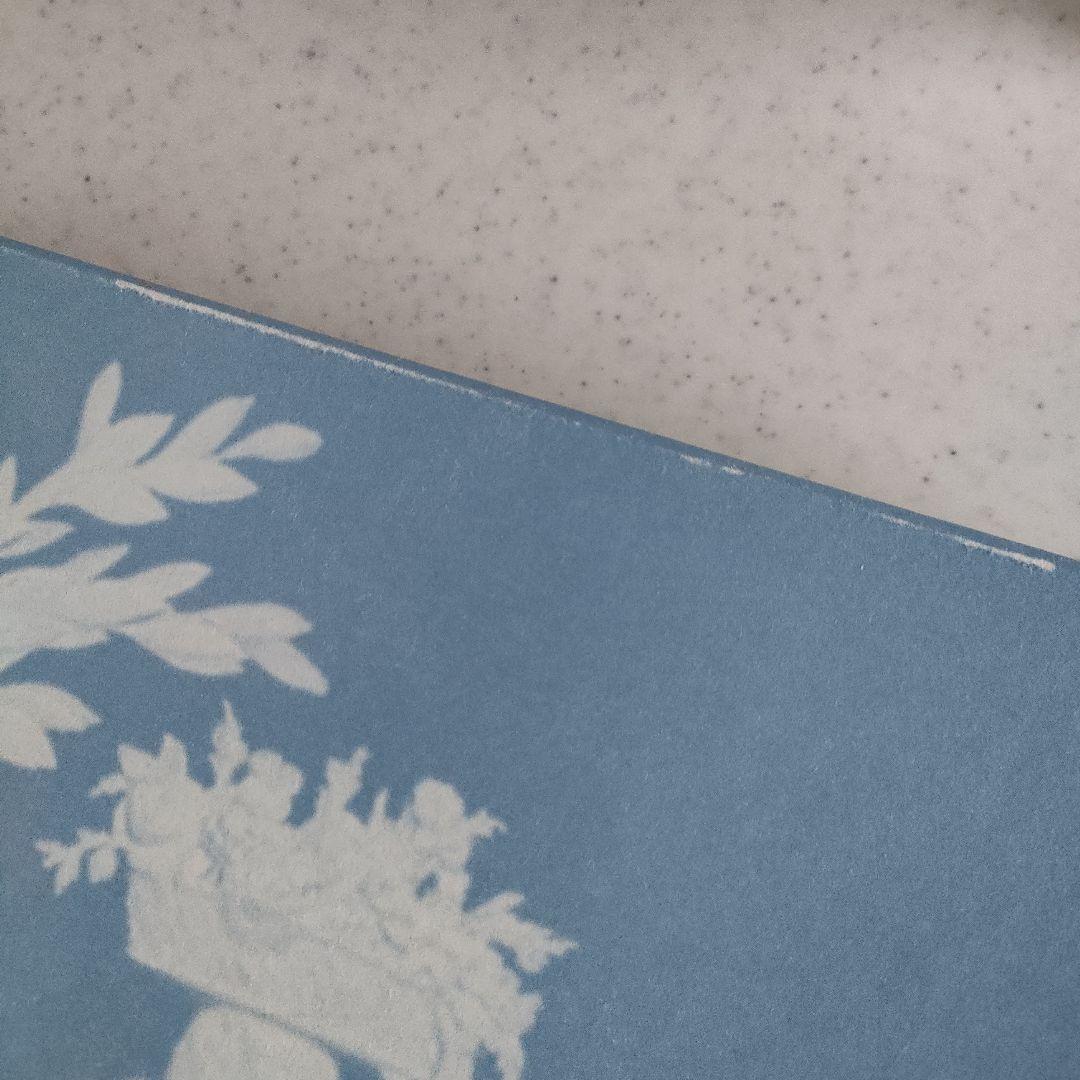 ともしびちゃん✧  Hunting Scene