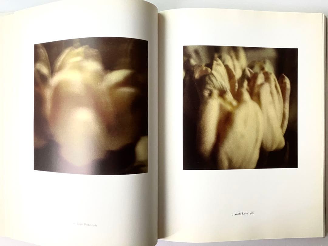 CY TWOMBLY PHOTOGRAPHS Ⅲ 1951-2010