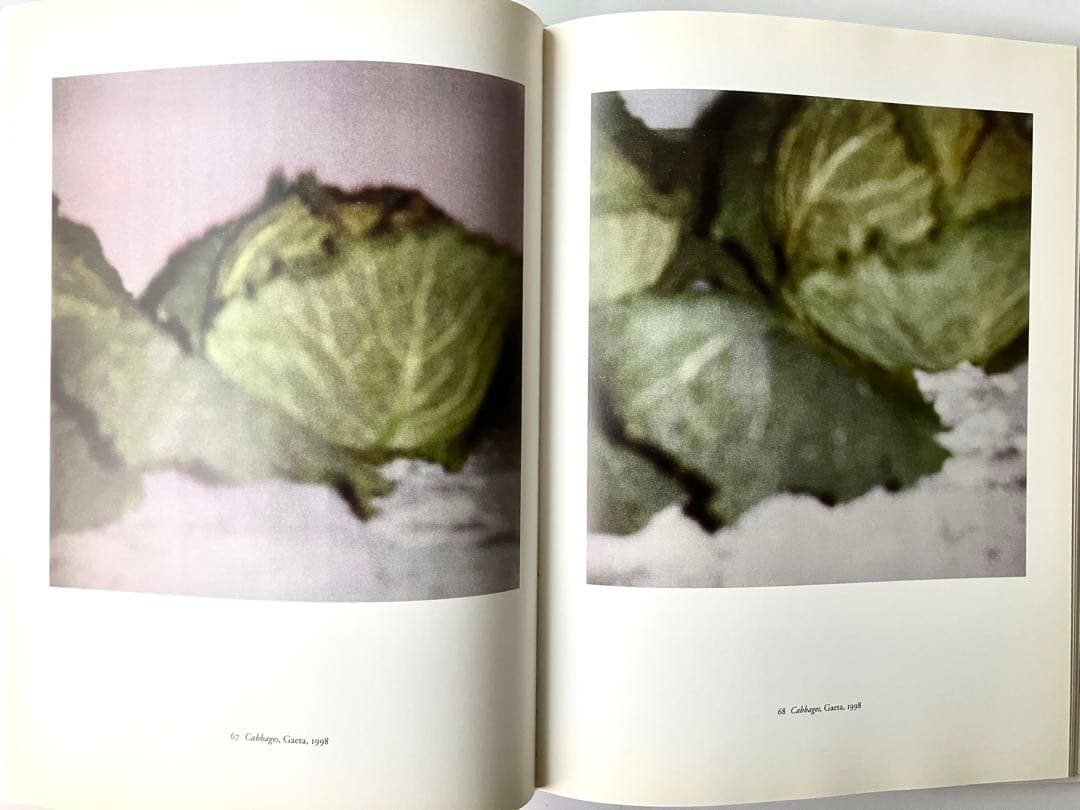 CY TWOMBLY PHOTOGRAPHS Ⅲ 1951-2010