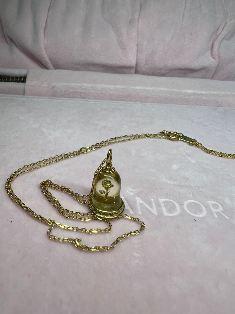 k.uno 美女と野獣 k18ネックレス