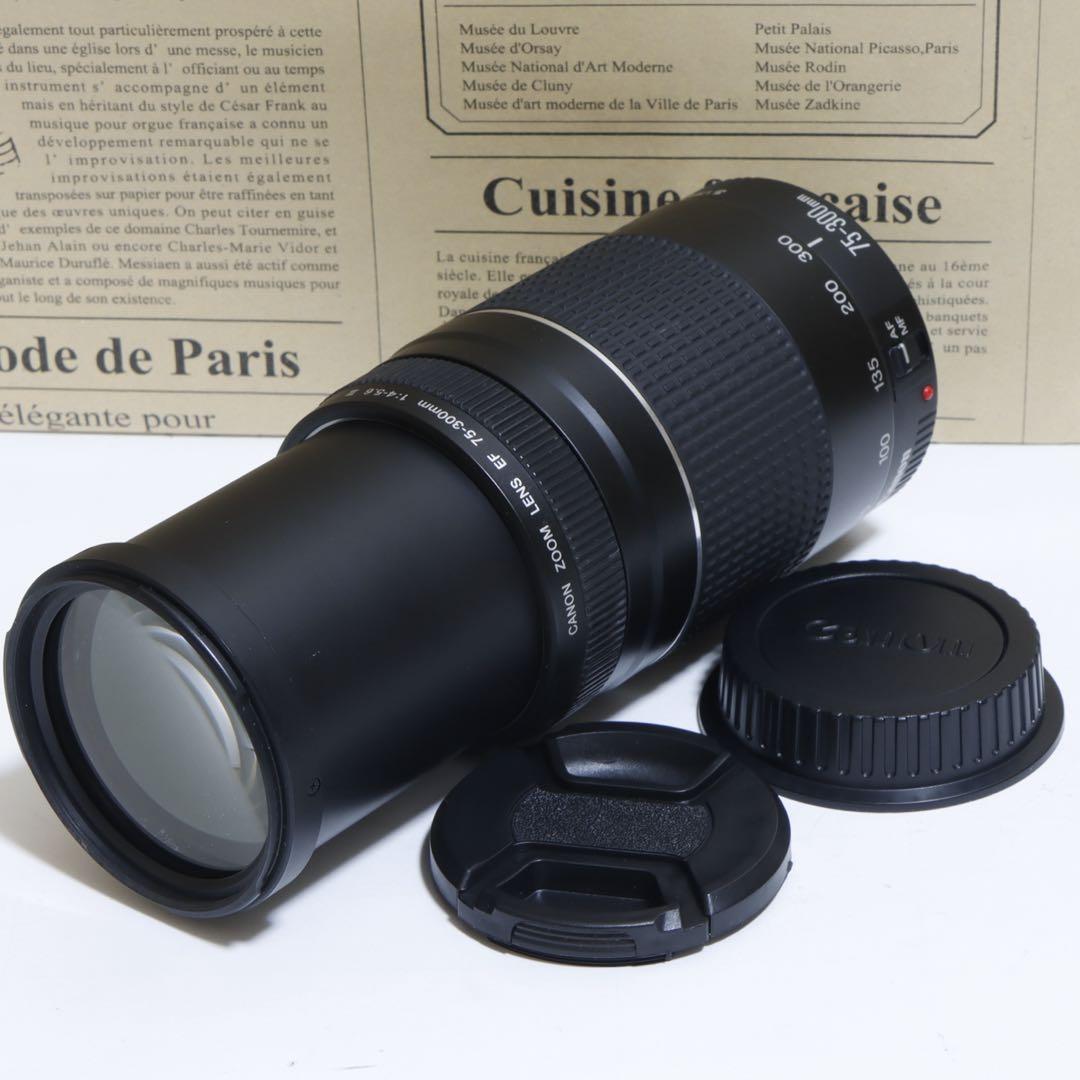 ◇大迫力超望遠!!◇Canon純正 75-300mm III型 超望遠レンズ◇