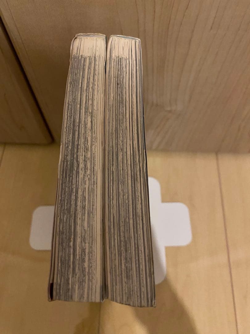 ■絶版■「混淆世界ボルドー」全2巻セット■市川裕文