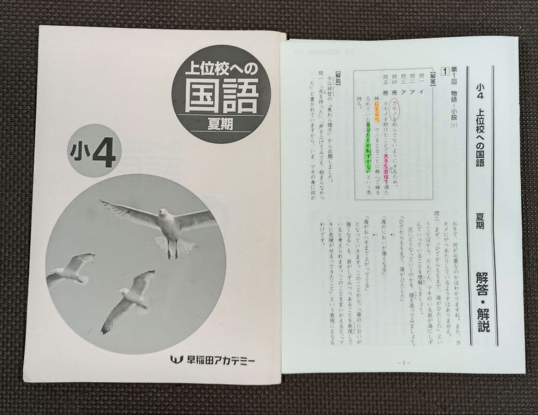 小4 夏期講習 早稲田アカデミー 早稲アカ　上位校